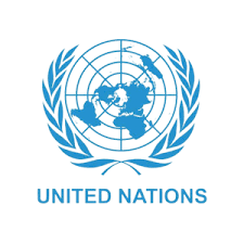 United Nations Tanzania Job Vacancies, 12 Positions | February 2026 – Ajirachap