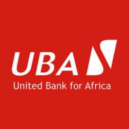 Relationship Manager at UBA Tanzania – Ajirachap