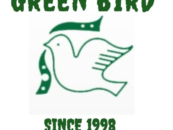 Marketing Manager Job Vacancy at Green Bird Education Institution – Ajirachap