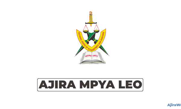 National Board of Accountants and Auditors (NBAA) Vacancies 2026 – Ajirachap