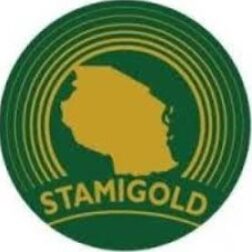 Senior Surveyor at STAMIGOLD (July 2026) – Ajirachap