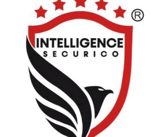 Technicians – Electronic Security Systems (4 Posts) at Intelligence Securico Limited – Ajirachap