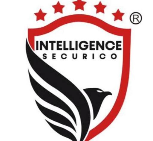 Technicians – Electronic Security Systems (4 Posts) at Intelligence Securico Limited – Ajirachap