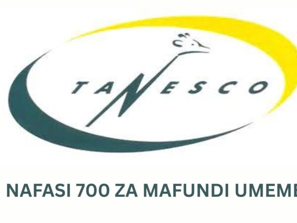 700+ Electrical jobs at TANESCO, October 2026 – Ajirachap