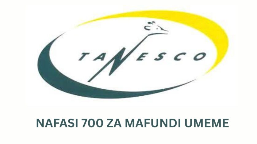 700+ Electrical jobs at TANESCO, October 2026 – Ajirachap